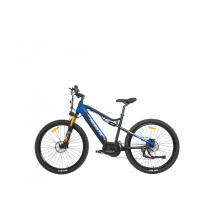 Mountain E-bikes in A Variety of Designs